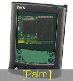 Palm-hardware